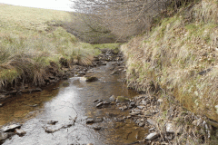73. Upstream from Willingford Farm