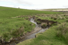 75. Upstream from Willingford Farm