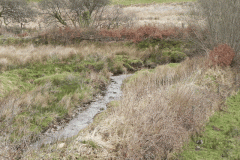 76. Upstream from Upper Willingford Bridge