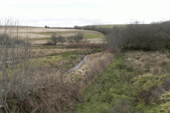 77. Upstream from Upper Willingford Bridge