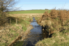 80. Litton Water joins with stream from Halscombe Alotment  to form Danes Brook