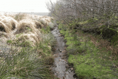 9. Early stream approx 400 metres from source