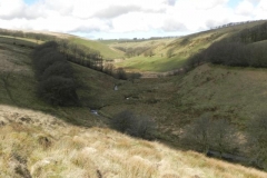 1. Looking upstream from Long Holcombe