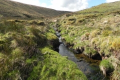 10. Long Holcombe Water flowing to Sherdon Water
