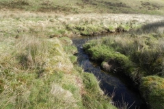 11. Long Holcombe Water joins Sherdon Water