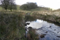 13. Downstream from Long Holcombe Water