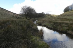 14. Downstream from Long Holcombe Water