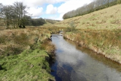 15. Downstream from Long Holcombe Water