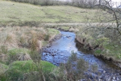 16. Downstream from Long Holcombe Water