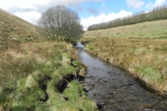 18. Downstream from Long Holcombe Water