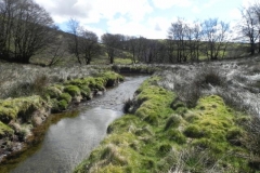 19. Downstream from Long Holcombe Water