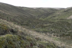 2. Looking up Long Holcombe
