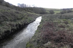 21. Downstream from Long Holcombe Water