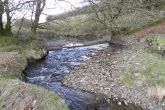22. Downstream from Long Holcombe Water