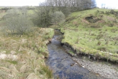 23. Downstream from Long Holcombe Water