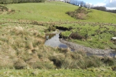 25. Downstream from Long Holcombe Water