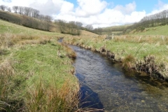 27. Upstream from Sherdon Farm Ford