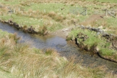 29. Sherdon Farm Ford