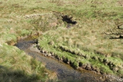 3. Upstream from Long Holcombe