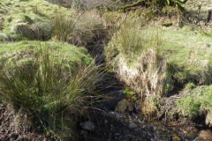 32. Waters from Barkham join