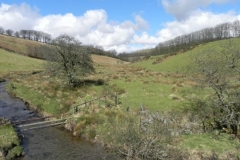 33. Upstream from Sherdon Cottage