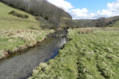 35. Upstream from Sherdon Cottage
