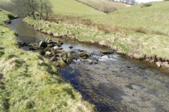 36. Upstream from Sherdon Cottage