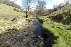 38. Upstream from Sherdon Cottage