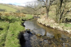 39. Upstream from Sherdon Cottage