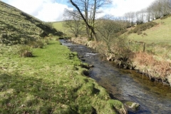 41. Upstream from Sherdon Cottage