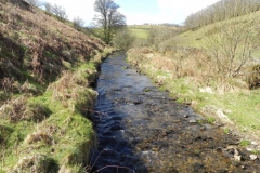 42. Upstream from Sherdon Cottage