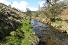 43. Upstream from Sherdon Cottage