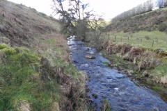44. Upstream from Sherdon Cottage