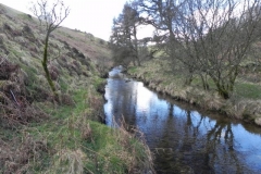 45. Upstream from Sherdon Cottage