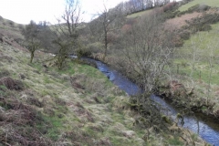 46. Upstream from Sherdon Cottage