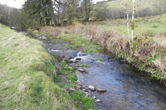 47. Upstream from Sherdon Cottage