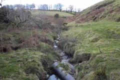 49. Waters from Barcombe join Sherdon Water