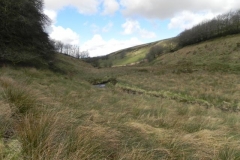 5. Looking upstream from Long Holcombe