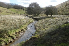 6. Looking downstream to Long Holcombe Water join