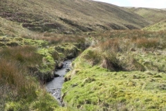 8. Long Holcombe Water flowing to Sherdon Water