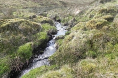 9. Long Holcombe Water flowing to Sherdon Water