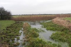 Long Sutton Main Drain
