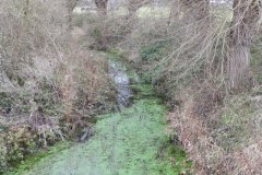 7.-Looking-upstream-from-Bridge-near-Pibsbury