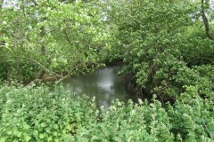 River Parrett Tributaries
