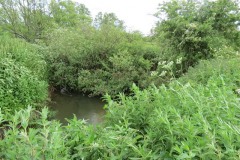 2.-Lopen-Brook-joins-the-River-Parrett