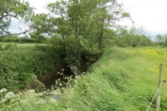 3.-Upstream-from-join-with-River-Parrett-1