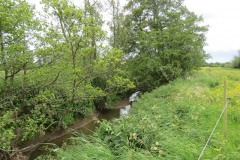 3.-Upstream-from-join-with-River-Parrett-2