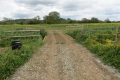 5.-Accommodation-Bridge-across-Lopen-Brook