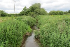 7.-Upstream-from-accommodation-bridge