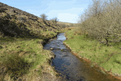 12. Flowing below Moorhouse Ridge
